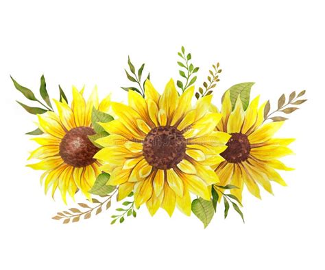 High Resolution Sunflower Clipart