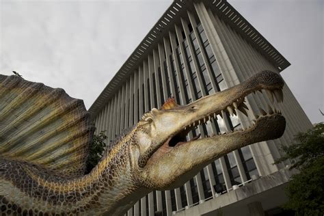 Meet Spinosaurus - WTOP News