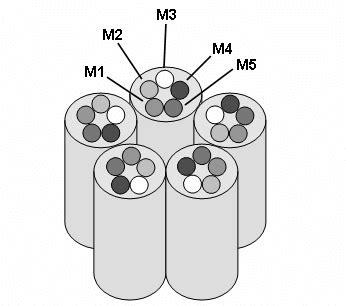 Examples of nicotinic receptors antagonists. | Download Scientific Diagram