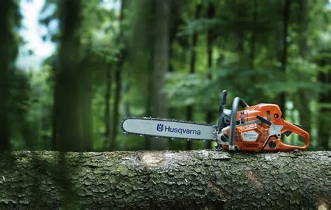 Husqvarna 562XP Chainsaw Review 2022: How Does It Compare?