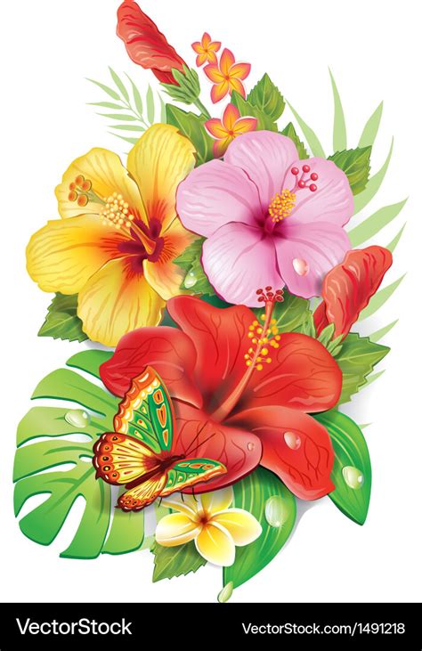 Bouquet of tropical flowers Royalty Free Vector Image