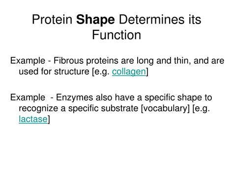 PPT - Enzymes PowerPoint Presentation, free download - ID:6507719