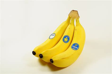 Chiquita Banana Sticker Contest Winner on Behance