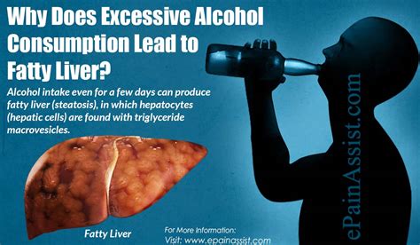 Why Does Excessive Alcohol Consumption Lead to Fatty Liver?