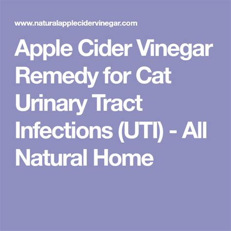 Apple Cider Vinegar Remedy for Cat Urinary Tract Infections (UTI) - All ...