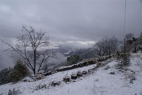 Mussoorie winter - 2 Photograph by Padamvir Singh - Pixels