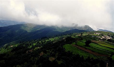 Top 10 Places to Visit in Ranikhet for Tourist