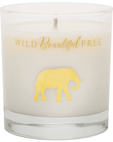 7 Best Organic and Natural Candles 2021 - Top Natural Candle Brands