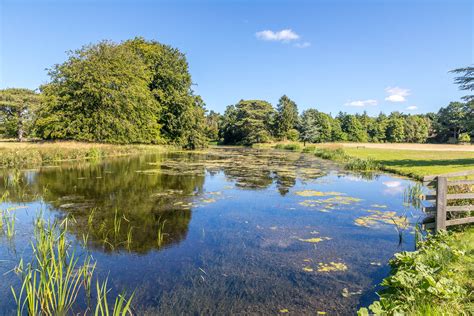 Scampston Hall - Scampston Walled Garden - Yorkshire gardens