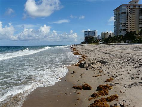 Fort Lauderdale Beach in Fort Lauderdale, Florida, USA | Sygic Travel