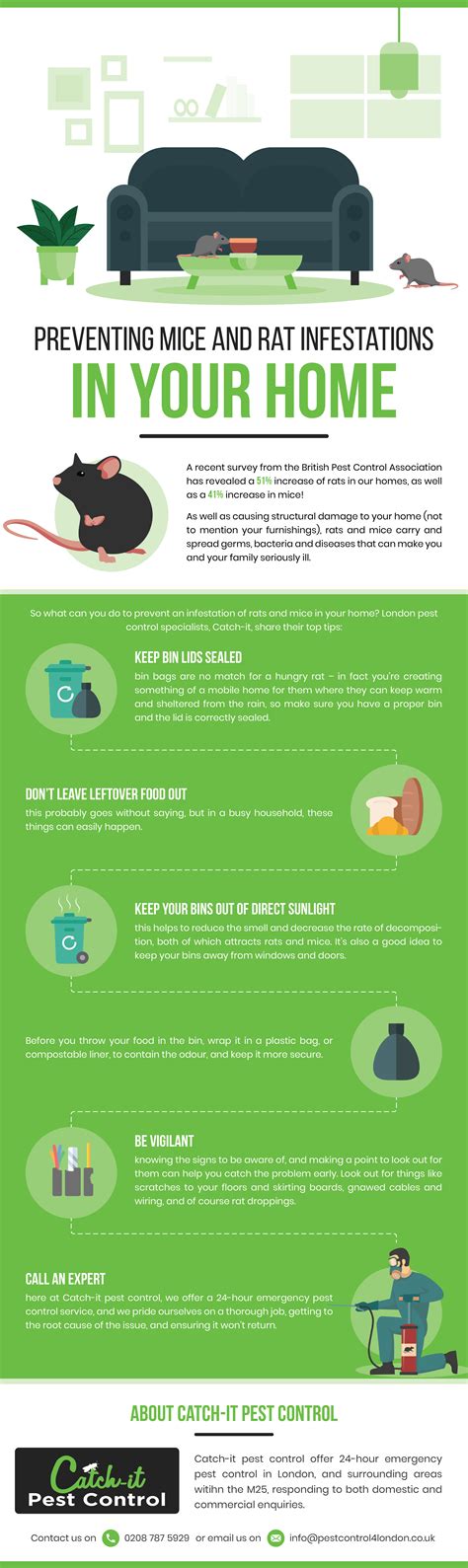 Preventing mice and rat infestations in your home - Infographic Portal ...