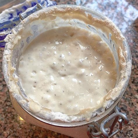 sourdough bread starter