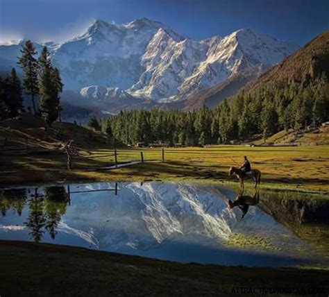 FAIRY MEADOWS - The Place of Fairies - ATTRACTIVE PAKISTAN