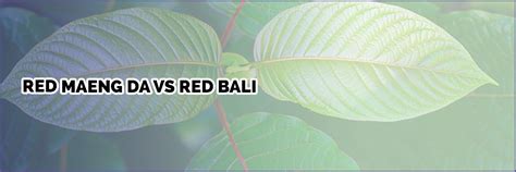 Red Maeng Da vs Red Bali - Starlight Kratom