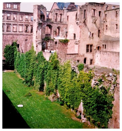 Wednesday Wander – Heidelberg Castle, Germany | Helen Glynn Jones