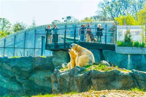 50 Best Zoos in the World 2021 - TourScanner