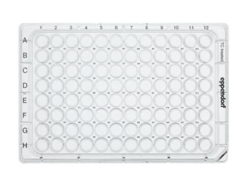 Eppendorf 96-Well, Cell Culture-Treated, Flat-Bottom Microplate | Fisher Scientific