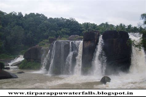 Tirparappu Water Falls: Falls Image