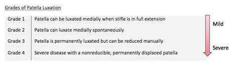 Medial Patella Luxation — Queensland Veterinary Specialists