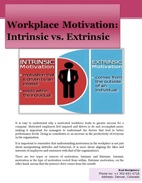 Workplace Motivation Intrinsic vs. Extrinsic by bradmontgomery - Issuu