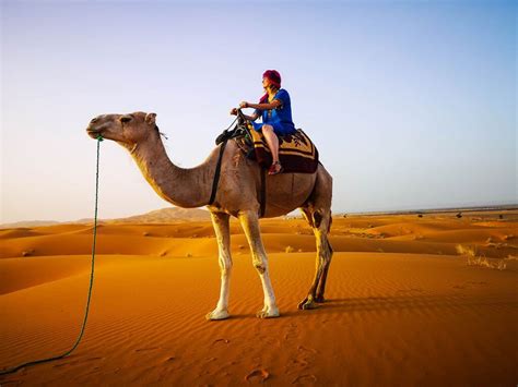 Camel-ride-in-the-Sahara-in-Morocco – The Globetrotting Detective