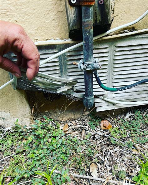 Termite Treatment Miami: Protecting Your Home from Silent Invaders | Termite Treatment Miami ...