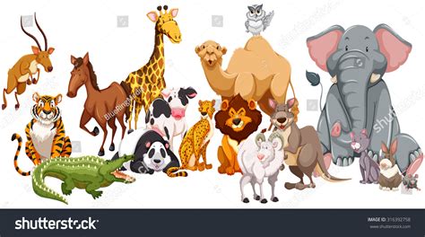 521 Pictures Differents Kinds Of Animal Images, Stock Photos & Vectors | Shutterstock