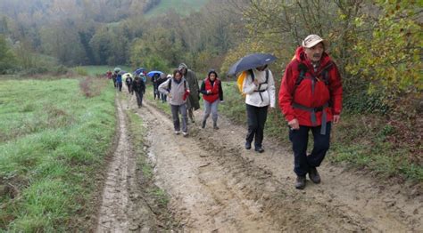 16 Novembre, Anello di Pontenano - Avventura Trekking