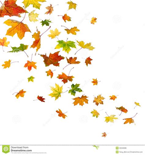 77+ Go Back Images For ... Falling Leaves Clipart | ClipartLook