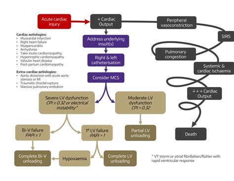 Cardiogenic shock: evolving definitions and future directions in management | Open Heart