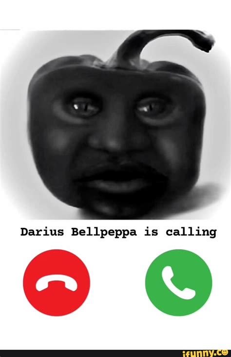 Darius Bellpeppa is calling - iFunny Brazil