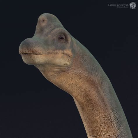 Brachiosaurus | Domestika