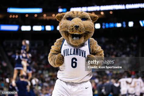 440 Villanova Wildcats Mascot Stock Photos, High-Res Pictures, and ...