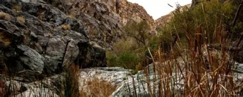 Death Valley Darwin Falls Trail Information | Hiking Trails Guide