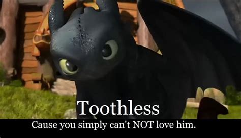 Love for Toothless by Arvata on DeviantArt