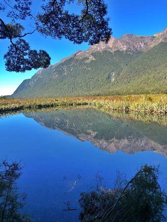 Southern Discoveries - Milford Sound Cruises: UPDATED 2019 All You Need to Know Before You Go ...