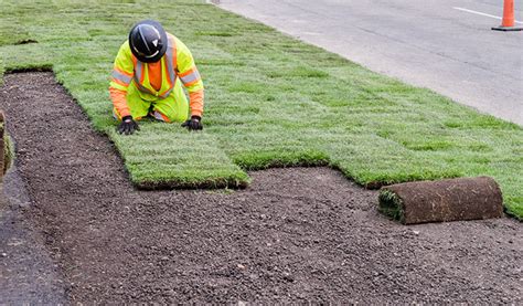 2023 Sod Installation Cost Prices To Lay Sod Per Square, 45% OFF