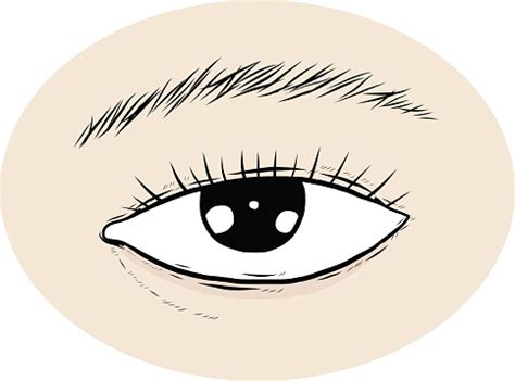 Left Eye Stock Illustration - Download Image Now - 2015, Adult, Adults Only - iStock