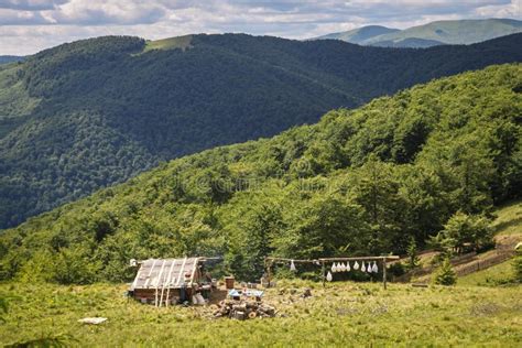 Ukrainian Mountains stock photo. Image of cleanness, clean - 60974854