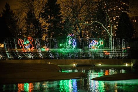 ZooLights Will Light Up Lincoln Park This Year With $5 Tickets And 5 ...