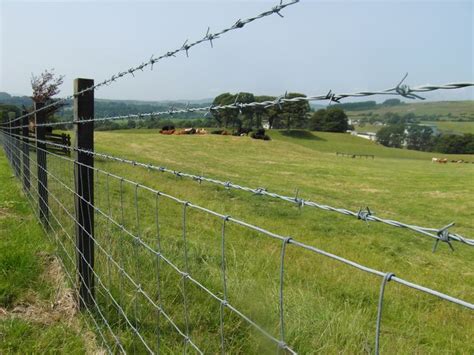 Incredible How To Build A Barbed Wire Fence For Cattle Ideas