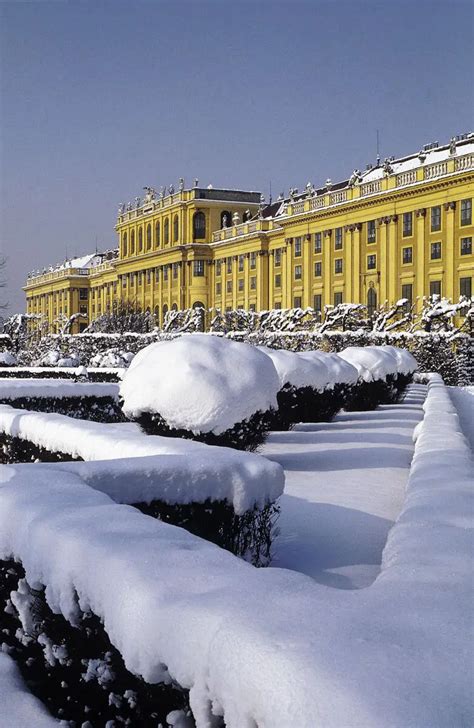 Top 10 Must-Do Activities in Vienna at Christmas and Wintertime ...