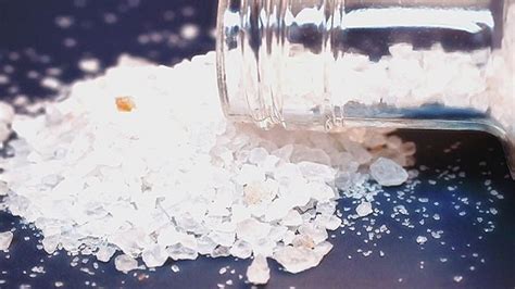 Flakka - Synthetic Drugs Presentation and Community Forum - Tamarac Talk