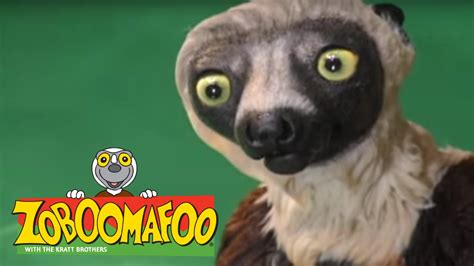 Swimming: Zoboomafoo Swimming