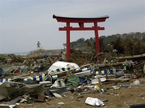 3/11 From one Disaster to another Japan Earthquake Tsunami Fukushima - Coulmas Florian