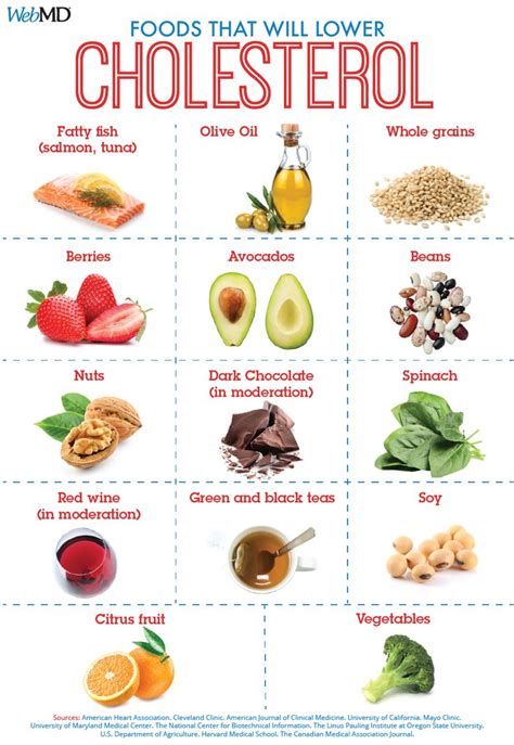 Slideshow: Foods To Help Lower LDL (‘Bad’) Cholesterol | Cholesterol ...