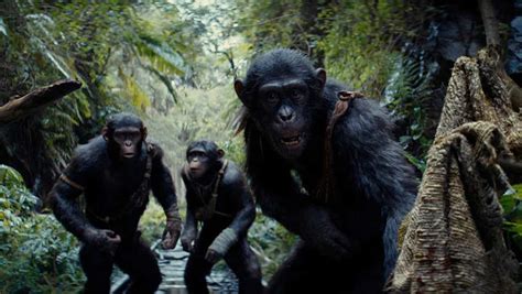 Latest trailer for 'Kingdom of the Planet of the Apes' promises high stakes action