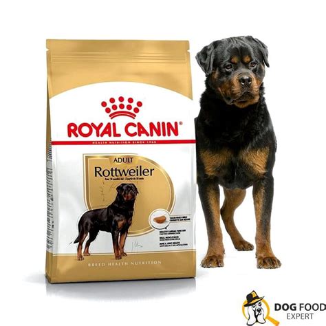 Royal Canin RottWeiler Dry food for Adult Dogs