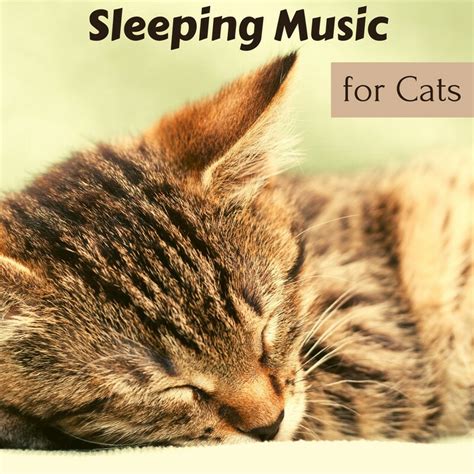 Download Sleeping Music for Cats – Calm My Cat, Music to Make Cats ...