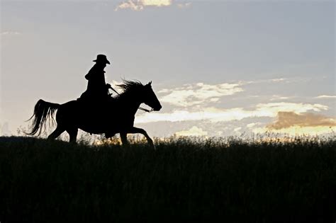 Fun Things to Do This Fall Near DC Ranch - DC Ranch Homes